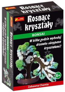 Opakowanie Rosnące kryształy. Bonsai