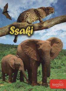 Okładka książki Ssaki