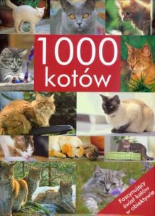 Okładka książki 1000 kotów