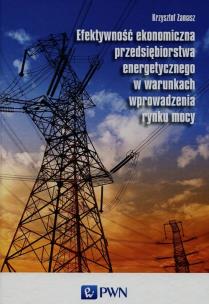 Okładka książki Efektywność ekonomiczna przedsiębiorstwa energetycznego w warunkach wprowadzenia rynku mocy