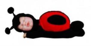 Opakowanie Lalka Anne Geddes Śpiąca biedronka