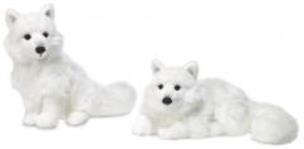 Opakowanie Lis arktyczny leżący