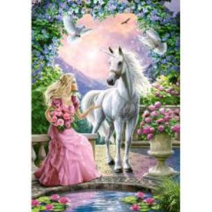 Opakowanie Puzzle 500 Tajemniczy ogród CASTOR