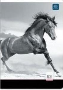 Opakowanie Zeszyt A5 w kratkę 96 kartek UV Interdruk