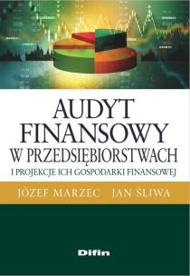 Okładka książki Audyt finansowy w przedsiębiorstwach i projekcje ich gospodarki finansowej
