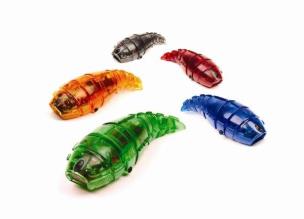 Opakowanie Hexbug Larwa