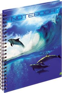 Opakowanie Kołobrulion A4 w kratkę 100 kartek