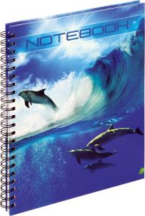 Opakowanie Kołobrulion A4 w kratkę 160 kartek