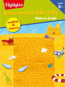 Okładka książki Niesamowite labirynty. Właściwa droga