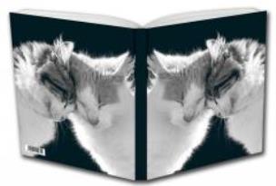 Opakowanie Notes Kotki B & W