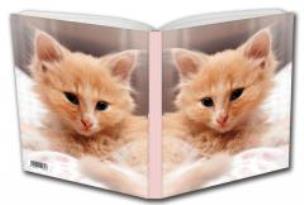 Opakowanie Notes Małe Kotki