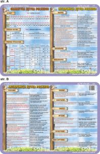 Okładka książki Podkładka edukacyjna Przecinek, średnik, kropka, alfabet