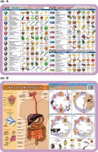 Okładka książki Podkładka edukacyjna. Szkielet, mięśnie, mózg i zmysły człow