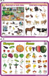 Okładka książki Podkładka edukacyjna  Warzywa, owoce, zwierzęta w moim domu