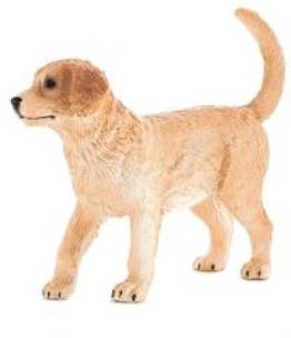 Opakowanie Szczenię rasy Golden Retriver ANIMAL PLANET