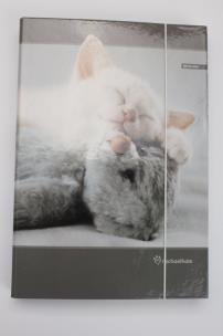 Opakowanie Teczka A5 z gumką