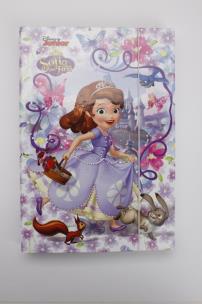 Opakowanie Teczka grupa A5 z gumką