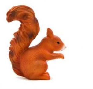 Opakowanie Wiewiórka w pozycji stojącej ANIMAL PLANET