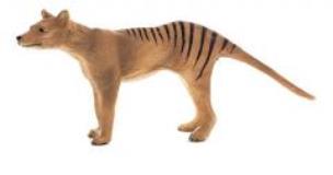 Opakowanie Wilk workowaty ANIMAL PLANET