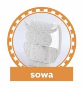 Opakowanie Zmalujmy Coś 3D Sowa MERplus