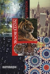 Opakowanie Brulion A5 Grand w kratkę 96 kartek 5 sztuk mix