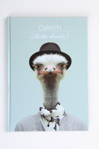 Opakowanie Brulion A5 w kratkę 96 kartek