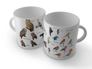 Okładka książki Kubek ptaki polski 1