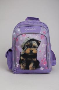 Opakowanie Plecak szkolny Rachel Hale Kotek