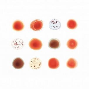 Okładka książki Scratch my back and i'll scratch yours