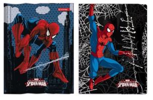 Opakowanie Teczka z gumką A4