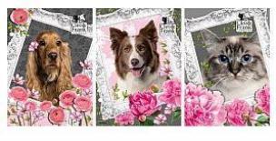 Opakowanie Teczka z gumką Cleo i Frank DERFORM