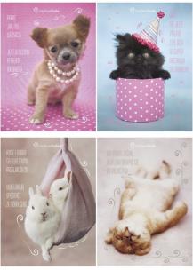 Opakowanie Wkłady do segregatora A5/8k. z kolorowankami i naklejkami / seria 235