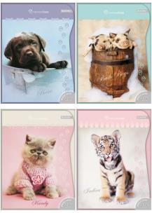 Opakowanie Wkłady do segregatora A5/8k. z kolorowankami i naklejkami / seria 236