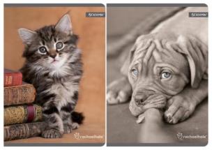 Opakowanie Zeszyt A5 w kratkę 60 kartek