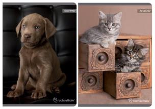 Opakowanie Zeszyt A5 w kratkę 80 kartek