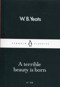 Okładka książki A Terrible beauty is born