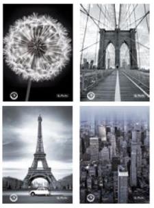 Opakowanie Brulion A4/96K kratka Black&White (5szt)