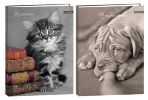 Opakowanie Brulion A5 w kratkę 96 kartek