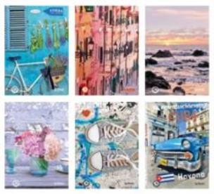 Opakowanie Brulion A5/96K kratka Free (5szt)