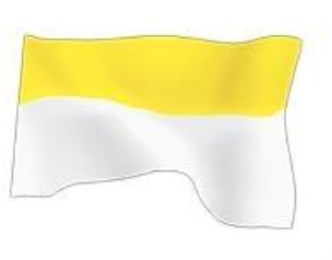 Opakowanie Flaga Papieska