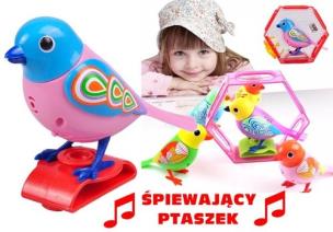 Opakowanie Kolorowy Ptaszek Interaktywny w Klatce Śpiewa