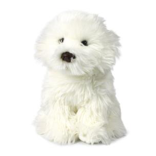 Opakowanie Maltańczyk - 26 cm