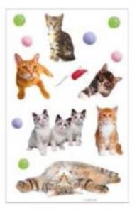 Okładka książki Naklejki A ozdobne Kotki