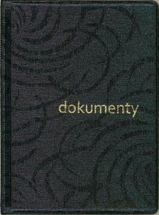 Opakowanie Okładka na dokumenty duża Xilk Nova mix