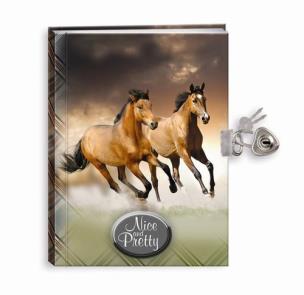 Opakowanie Pamiętnik z kłódką