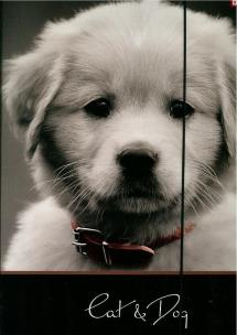 Opakowanie Teczka z gumką A4 UV Tray 1068 Cat&Dog