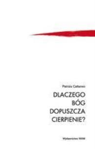 Okładka książki Dlaczego Bóg dopuszcza cierpienie?
