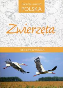 Okładka książki Kolorowanka Podróże Marzeń Polska Zwierzęta