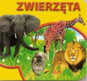 Okładka książki Książeczki kartonowe - Zwierzęta