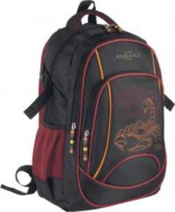 Opakowanie Plecak AN-13 Animals Tricky & Orange ASTRA